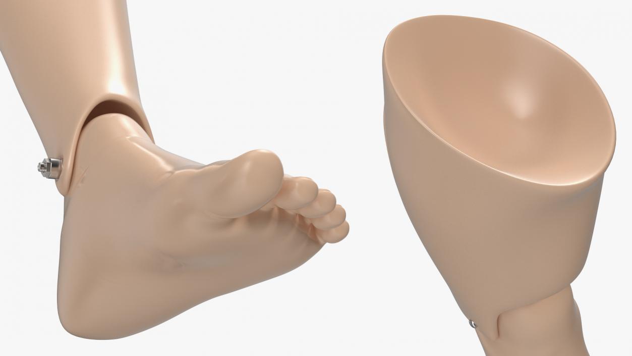 3D model First Aid Training Manikin Leg