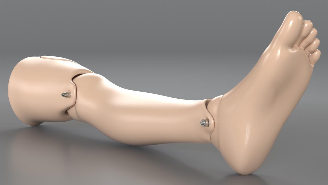 3D model First Aid Training Manikin Leg