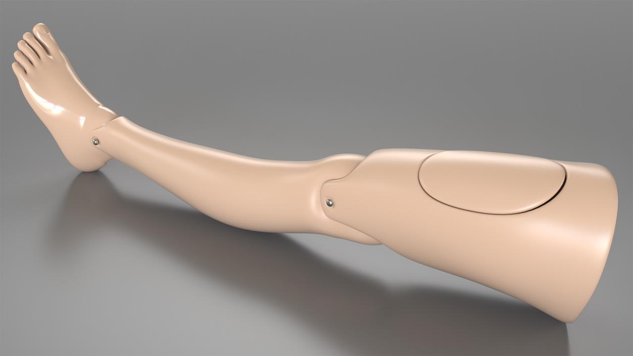 3D model First Aid Training Manikin Leg