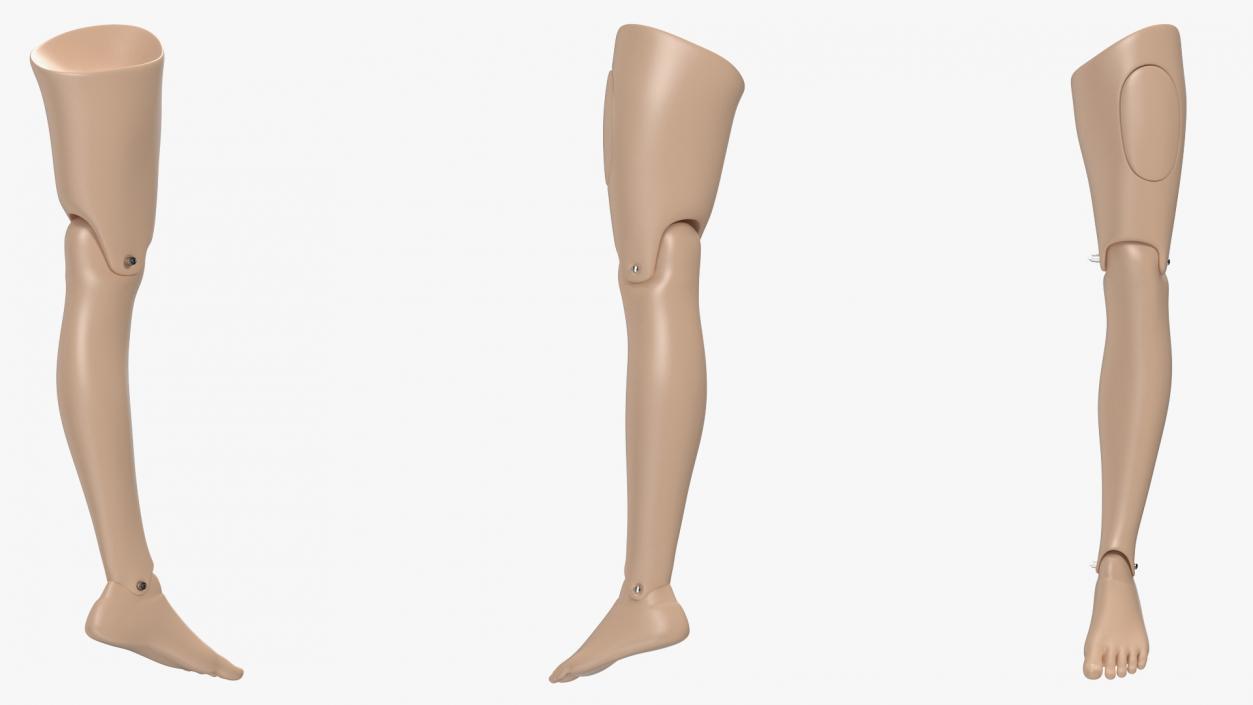 3D model First Aid Training Manikin Leg