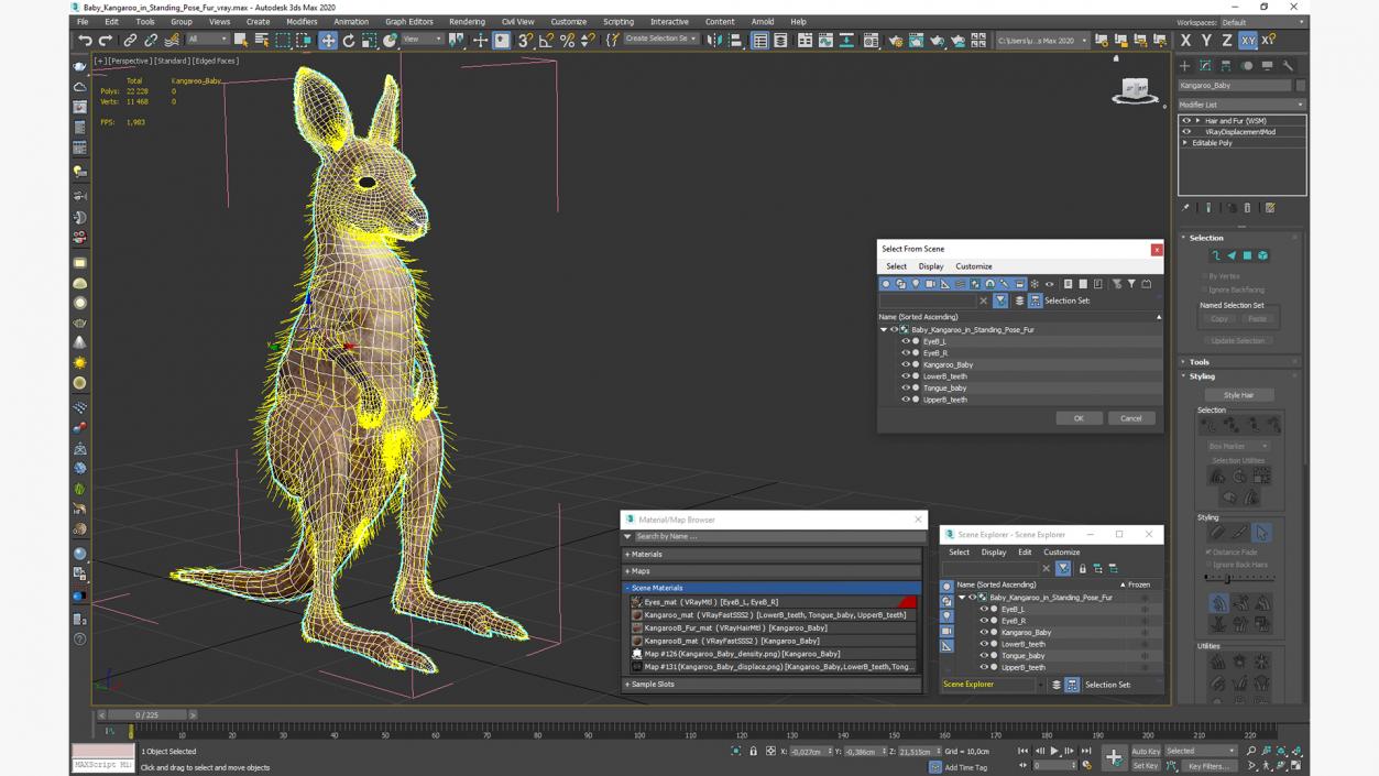 3D Baby Kangaroo in Standing Pose Fur 2