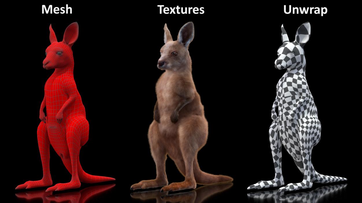 3D Baby Kangaroo in Standing Pose Fur 2