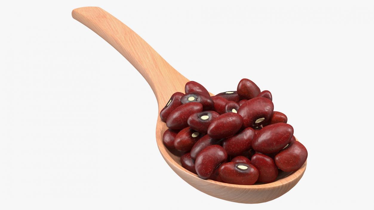 Dark Red Kidney Beans in a Spoon 3D