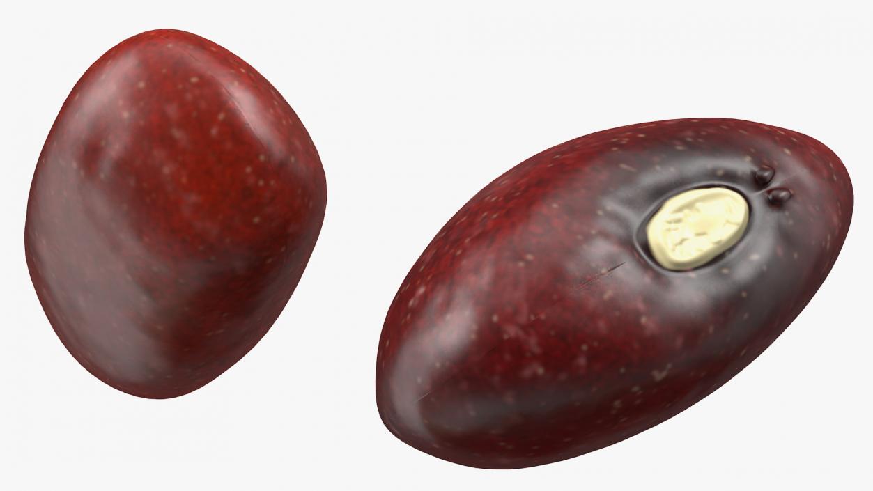 Dark Red Kidney Beans in a Spoon 3D