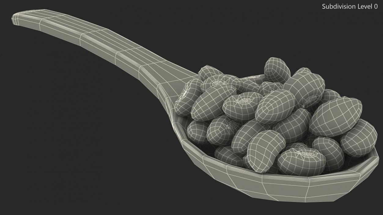 Dark Red Kidney Beans in a Spoon 3D