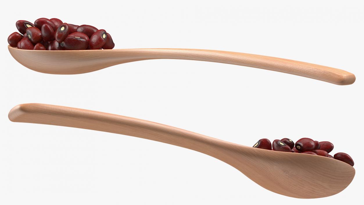 Dark Red Kidney Beans in a Spoon 3D