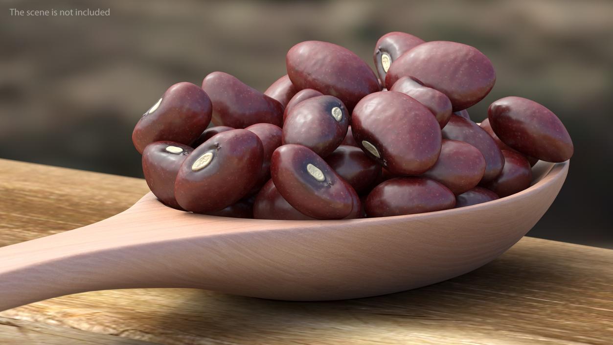 Dark Red Kidney Beans in a Spoon 3D