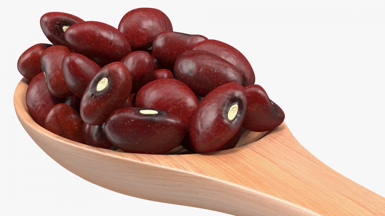 Dark Red Kidney Beans in a Spoon 3D