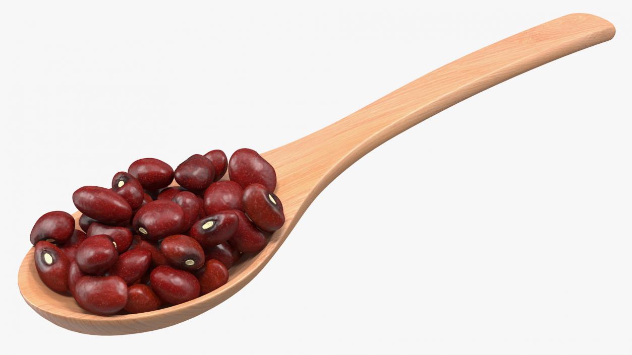 Dark Red Kidney Beans in a Spoon 3D