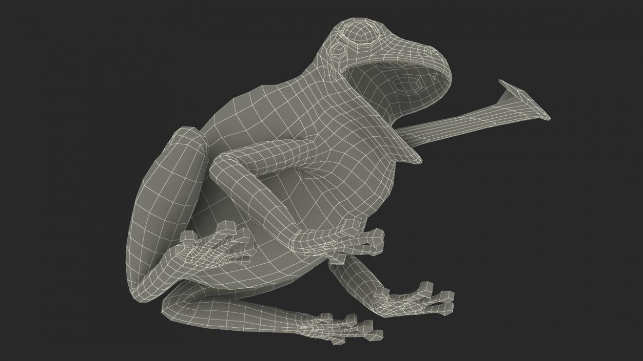 Australian Green Tree Frog With Extended Tongue 3D