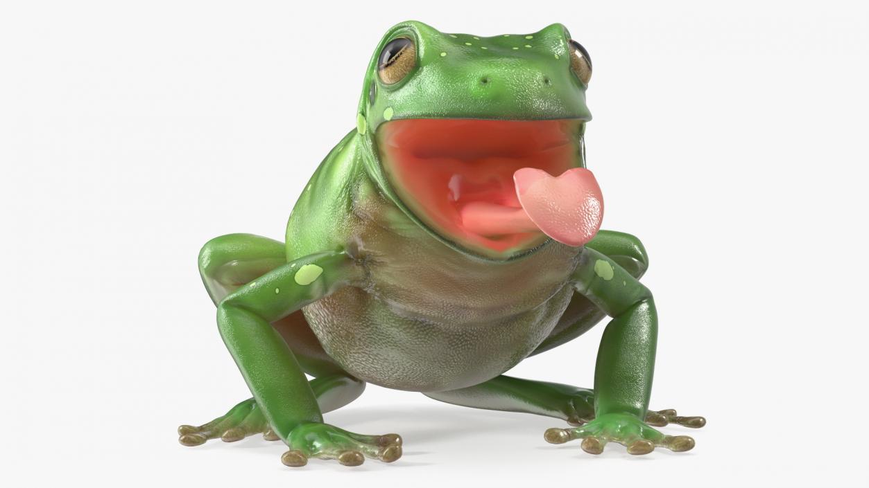 Australian Green Tree Frog With Extended Tongue 3D