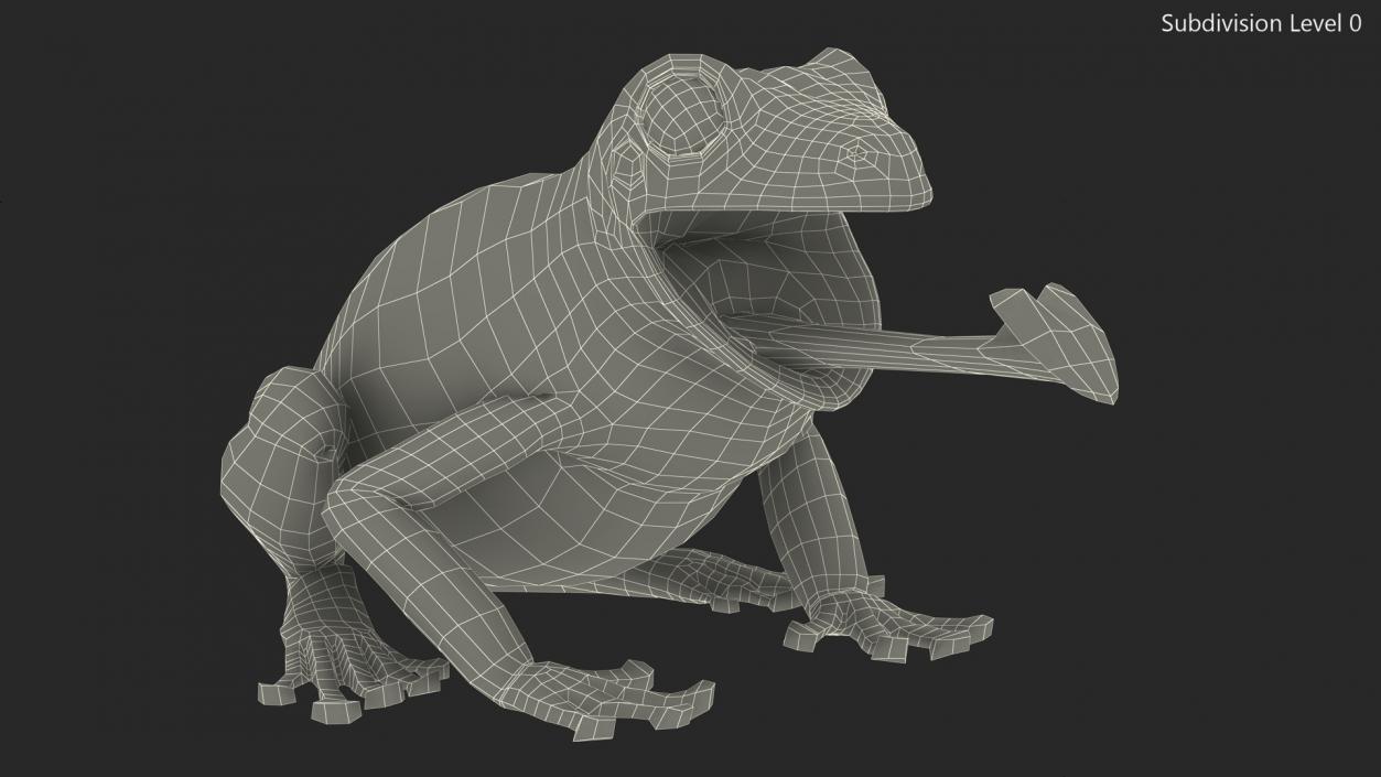 Australian Green Tree Frog With Extended Tongue 3D