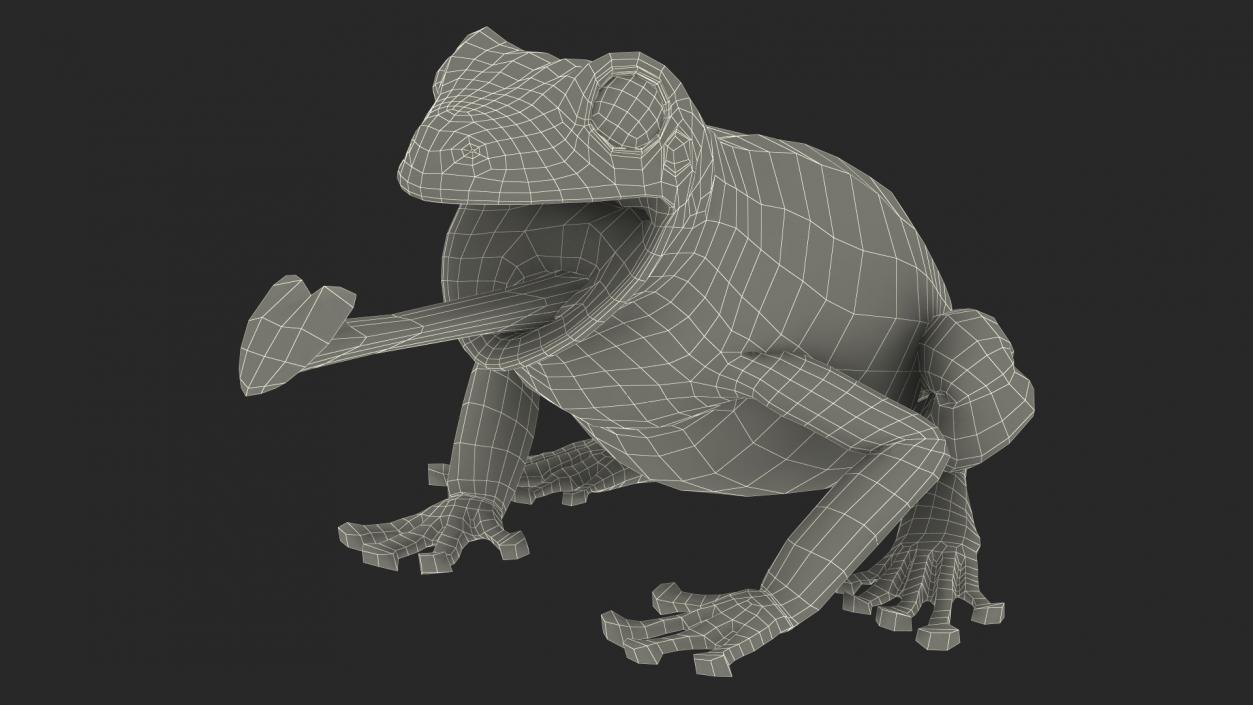 Australian Green Tree Frog With Extended Tongue 3D