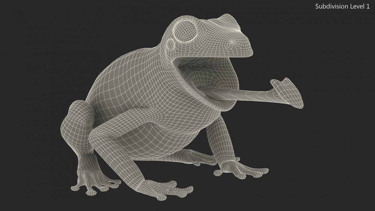 Australian Green Tree Frog With Extended Tongue 3D