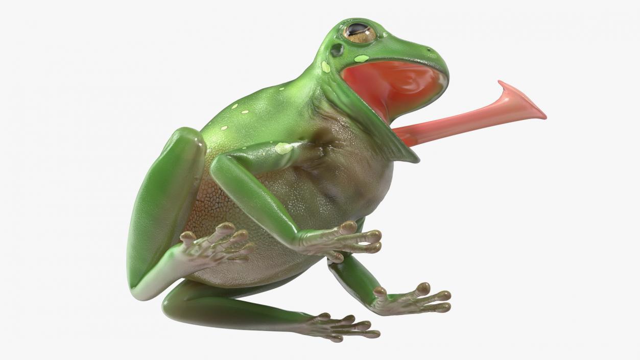 Australian Green Tree Frog With Extended Tongue 3D