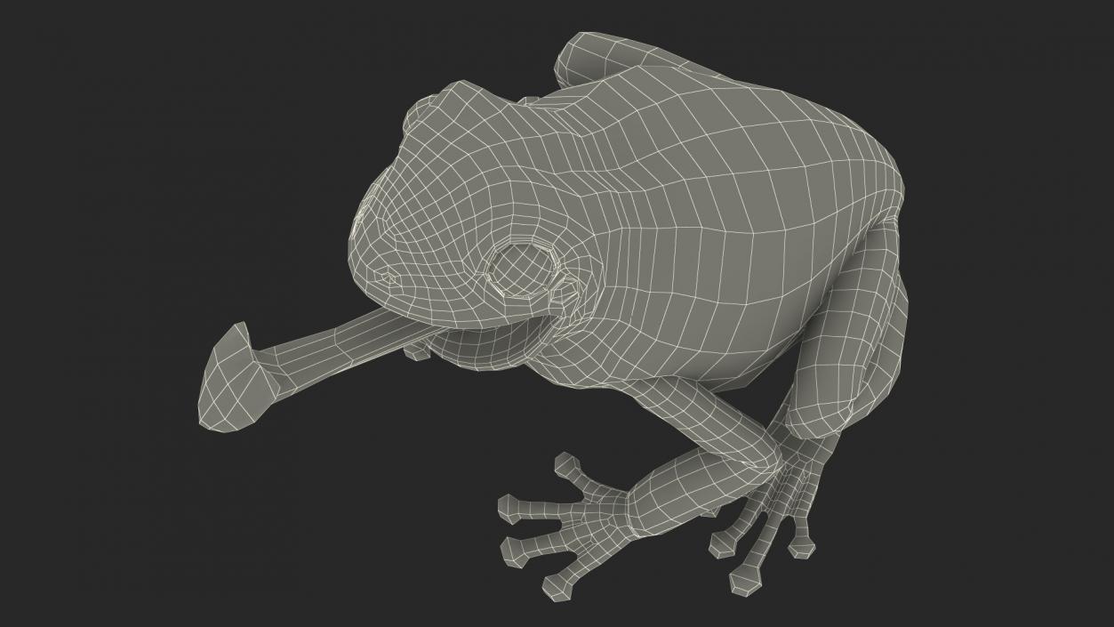 Australian Green Tree Frog With Extended Tongue 3D