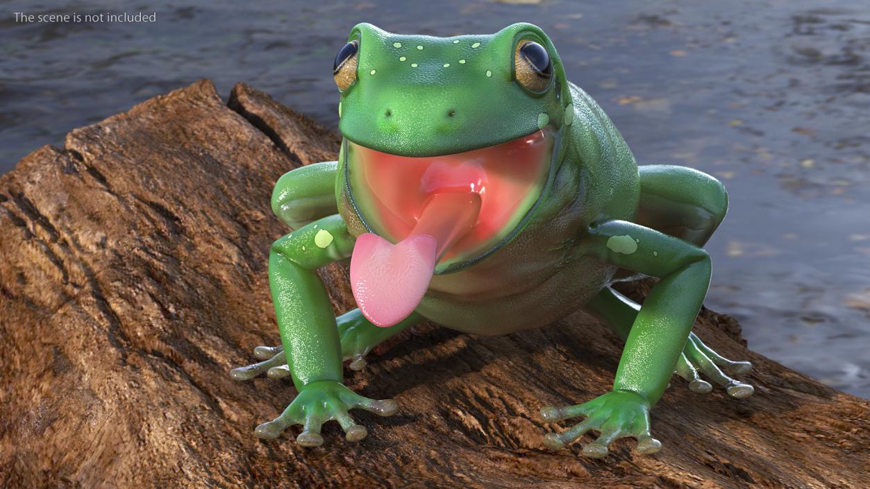 Australian Green Tree Frog With Extended Tongue 3D