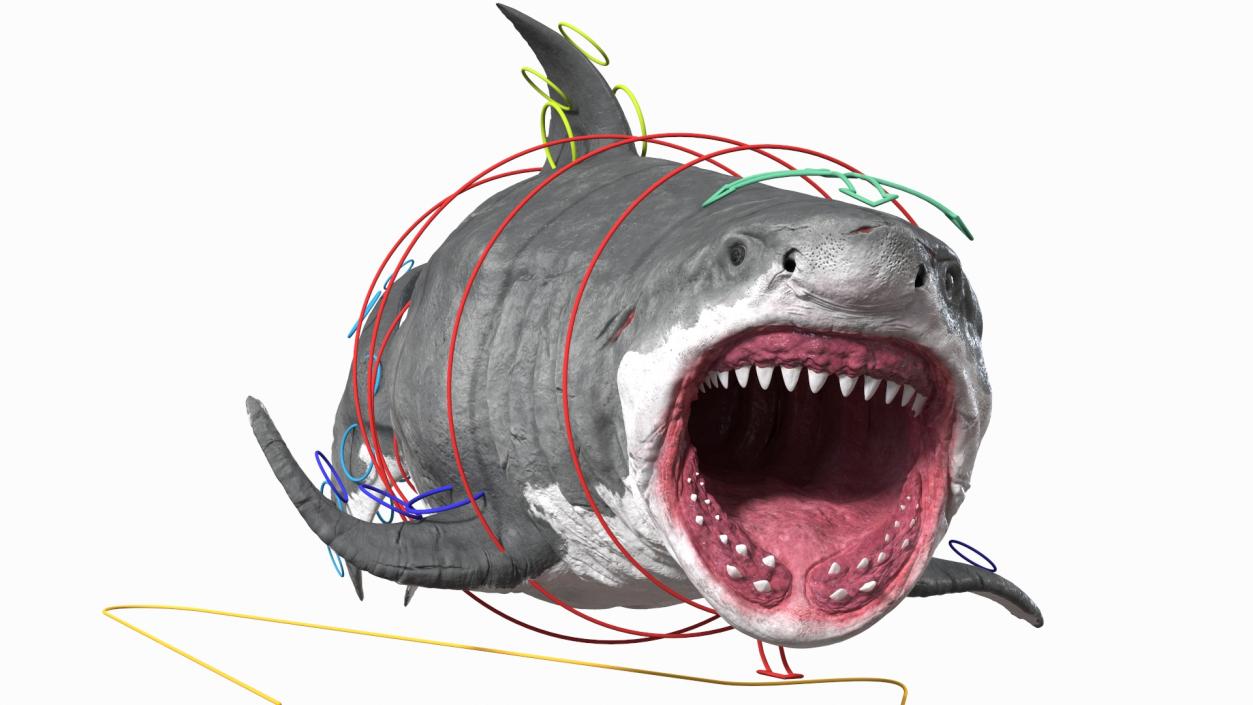 Ancient Megashark Rigged 3D model