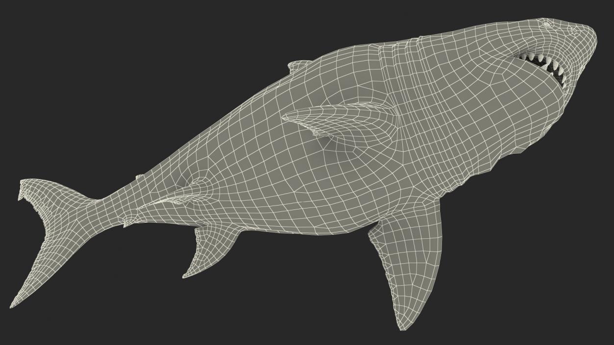 Ancient Megashark Rigged 3D model