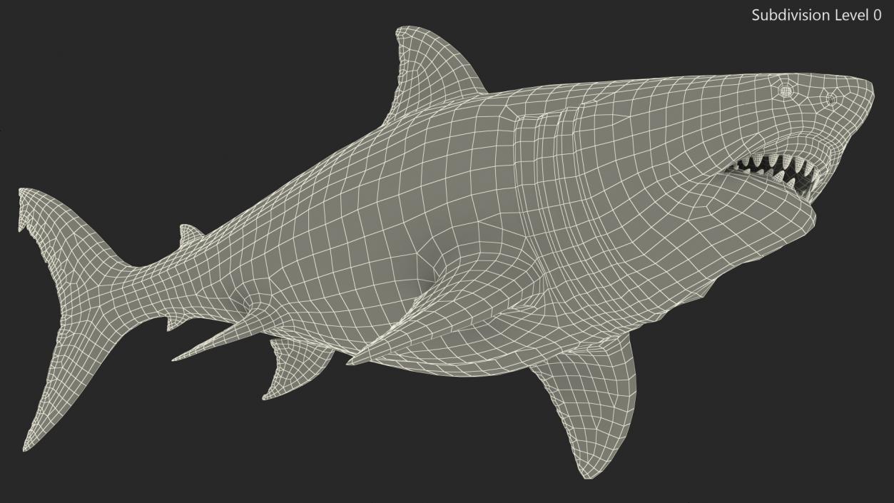 Ancient Megashark Rigged 3D model