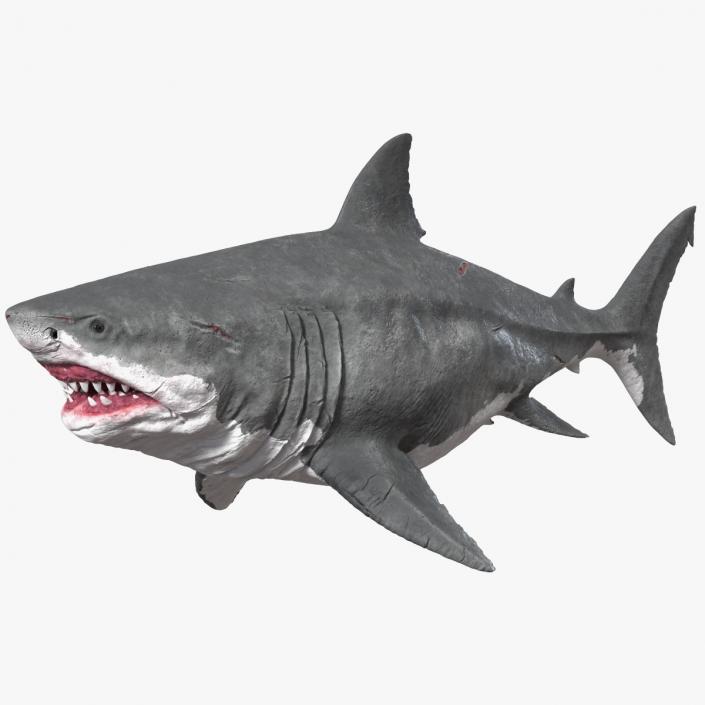 Ancient Megashark Rigged 3D model