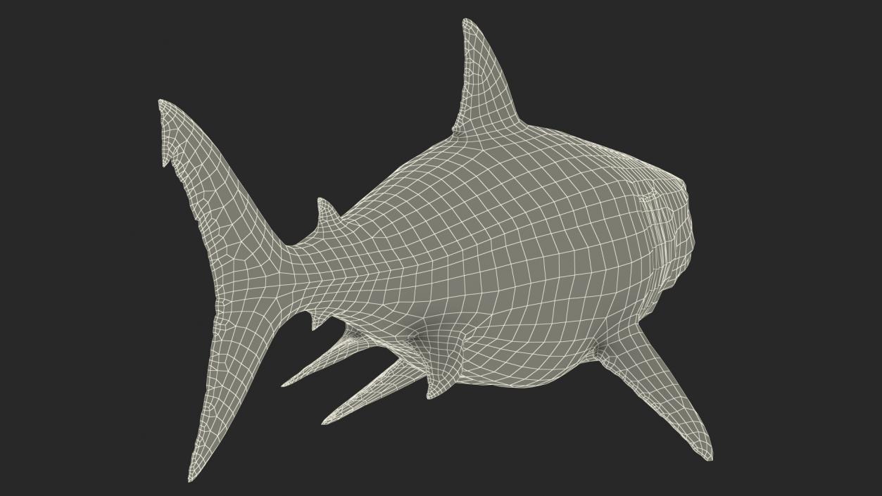 Ancient Megashark Rigged 3D model