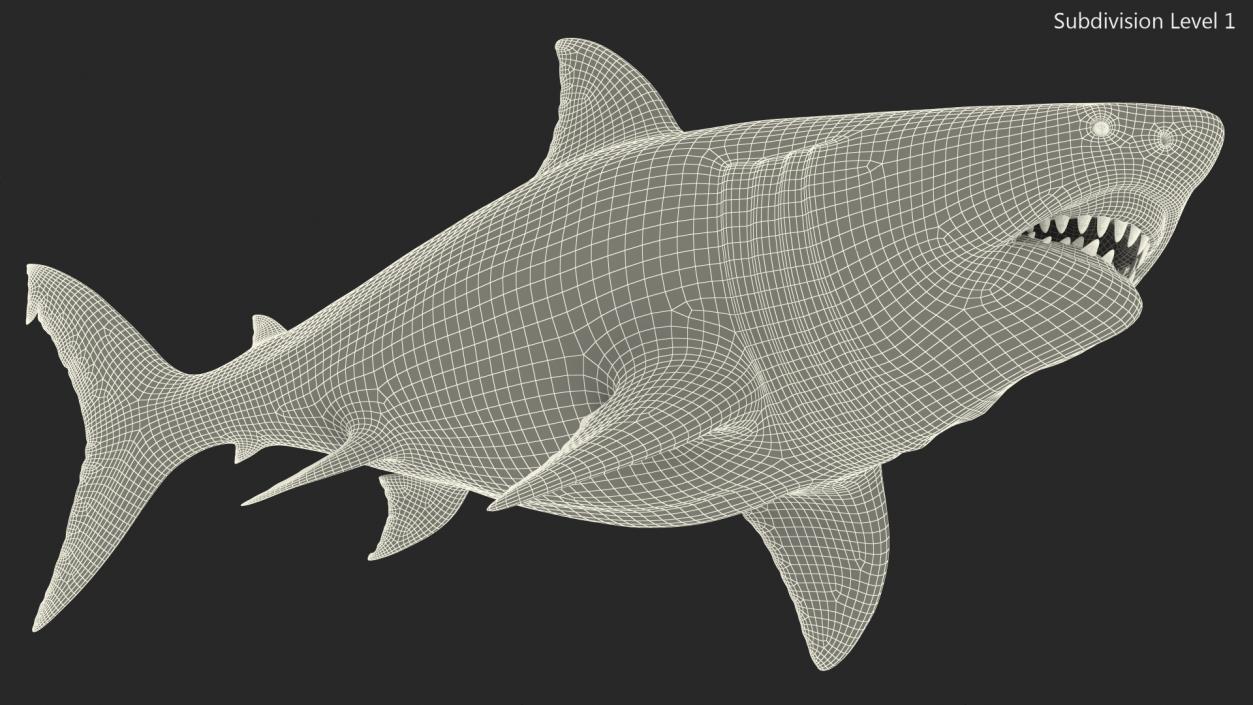 Ancient Megashark Rigged 3D model