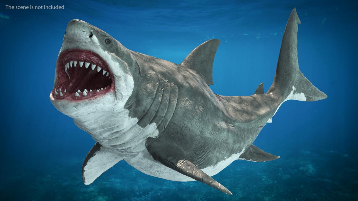 Ancient Megashark Rigged 3D model