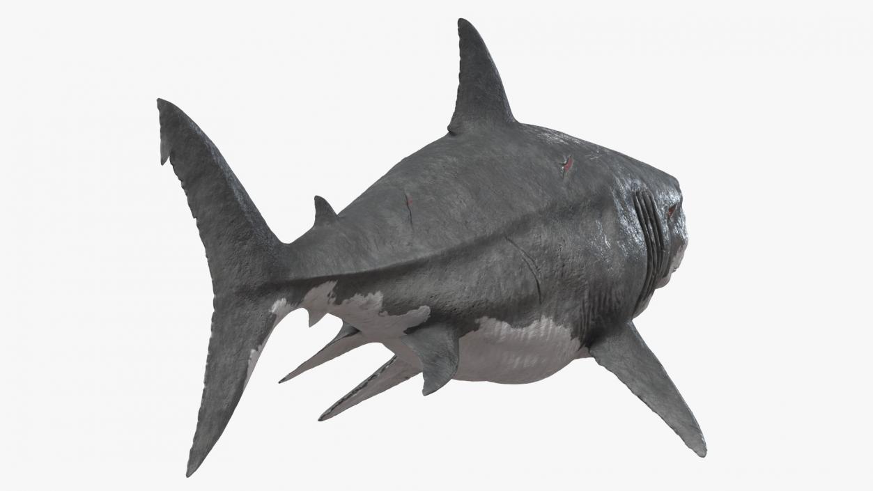 Ancient Megashark Rigged 3D model