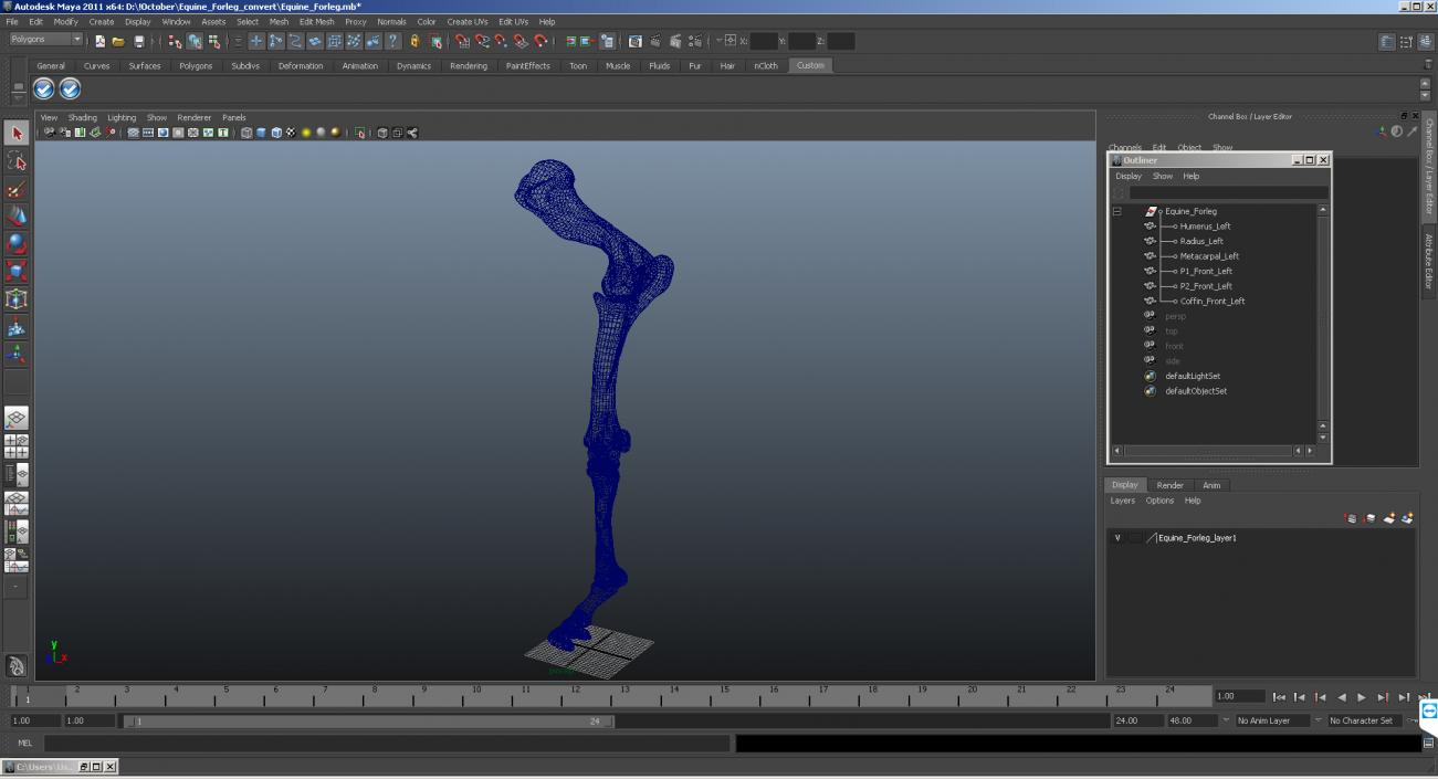 3D Equine Forleg model