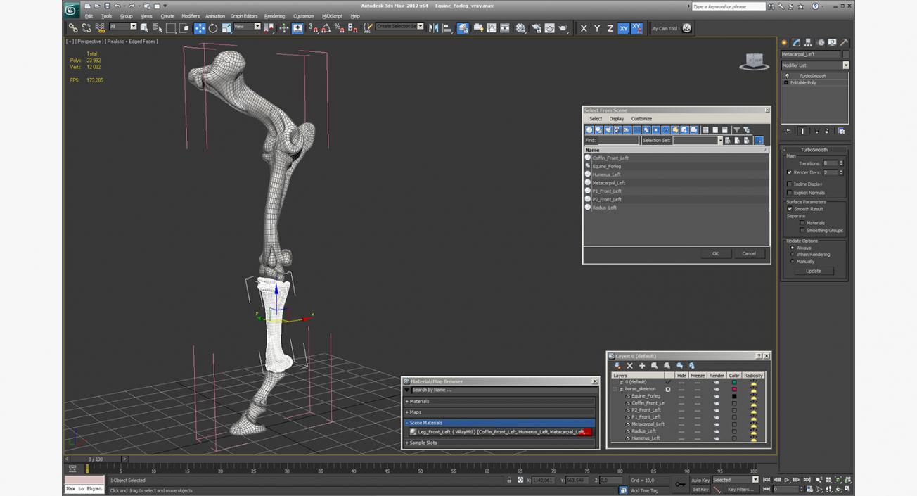 3D Equine Forleg model