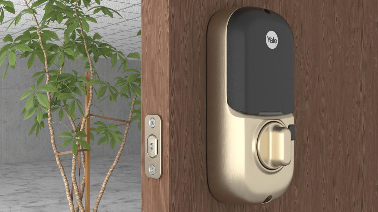 Smart Locks Collection 3D