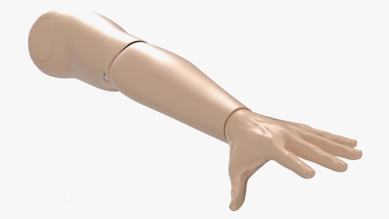 3D model Student Practice Arm Simulator