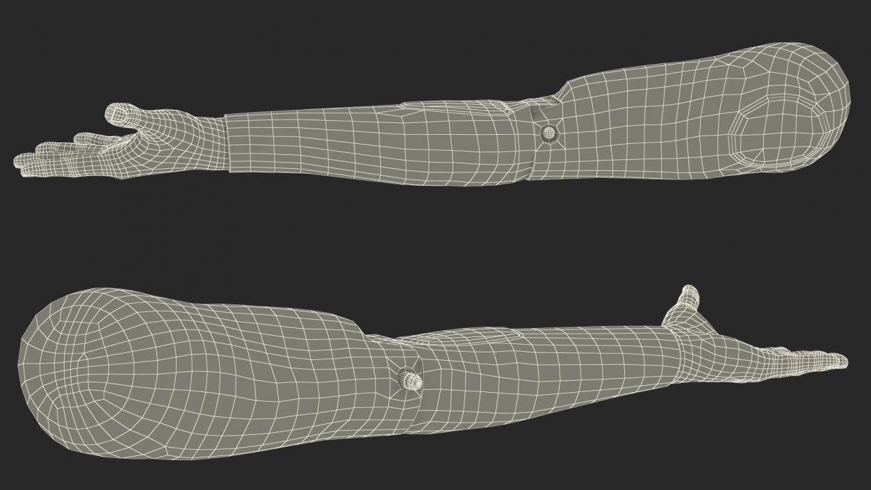 3D model Student Practice Arm Simulator