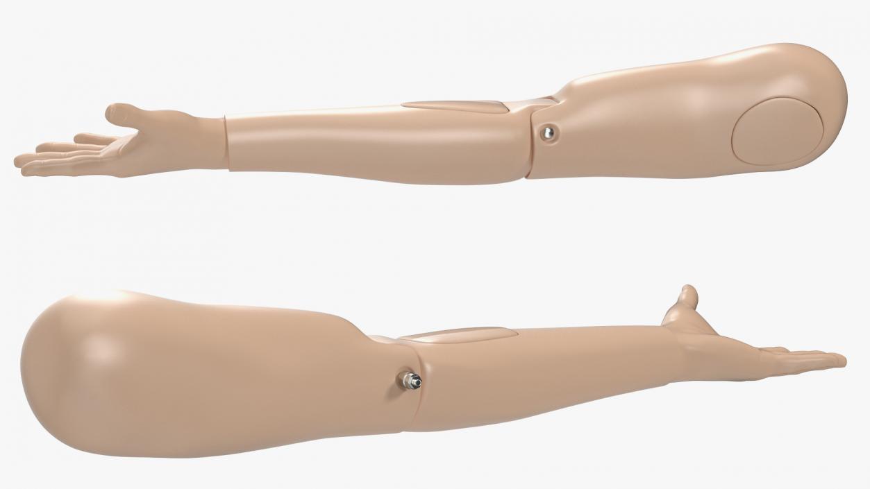 3D model Student Practice Arm Simulator