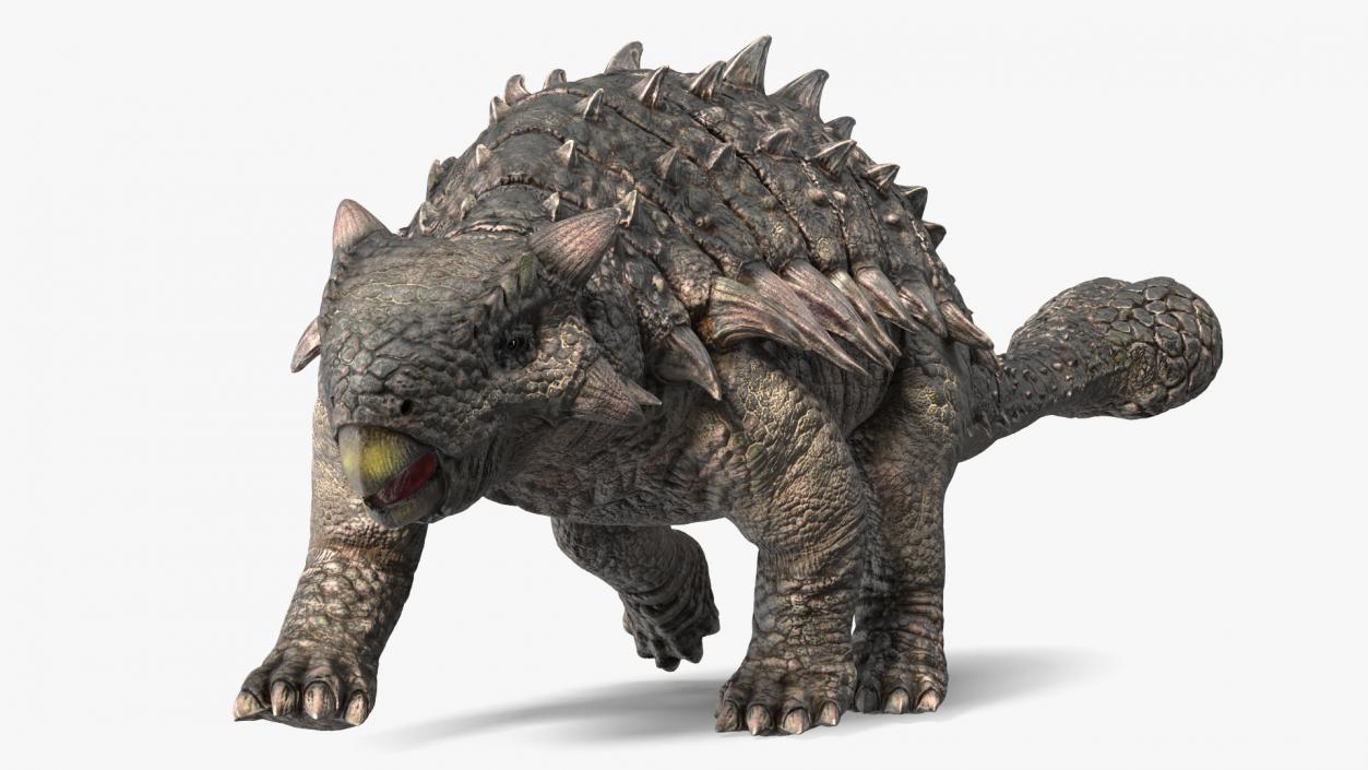 Ankylosaurus Tropical in Walking Pose 3D