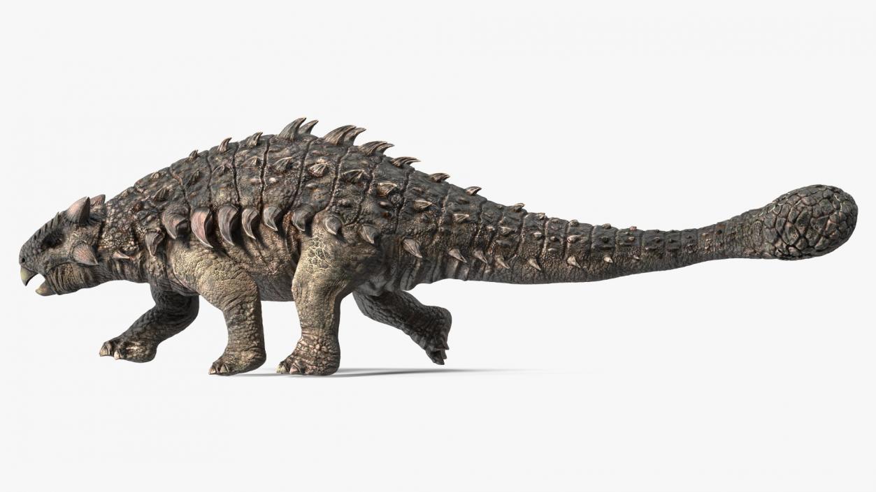 Ankylosaurus Tropical in Walking Pose 3D