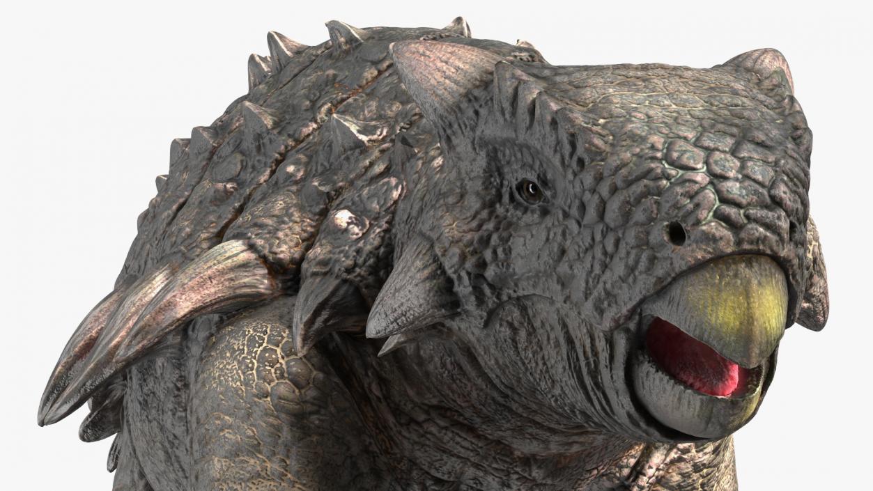 Ankylosaurus Tropical in Walking Pose 3D