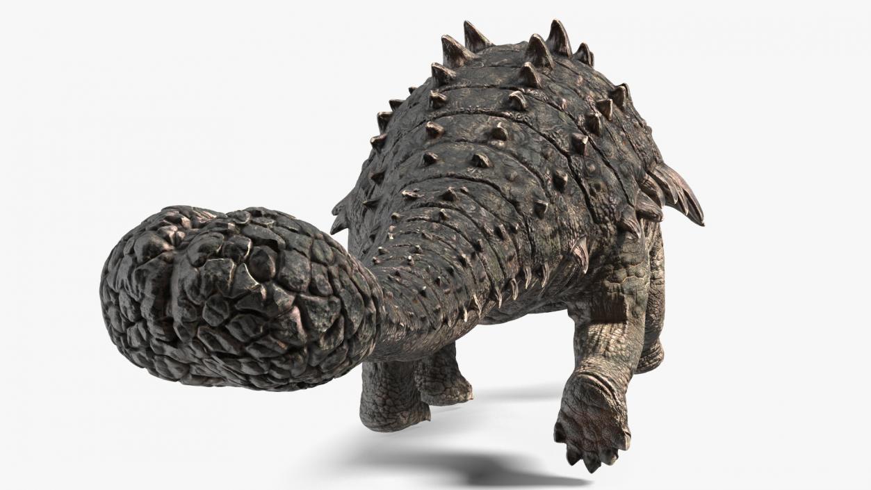 Ankylosaurus Tropical in Walking Pose 3D