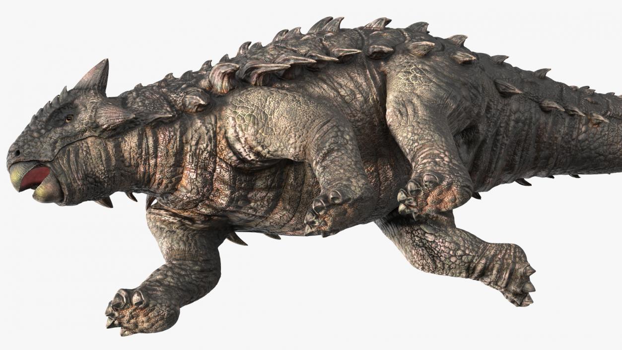 Ankylosaurus Tropical in Walking Pose 3D