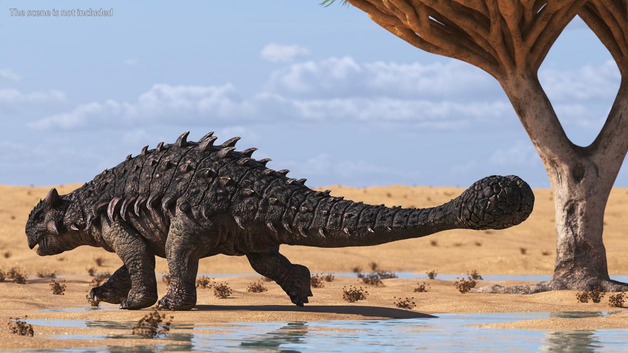 Ankylosaurus Tropical in Walking Pose 3D