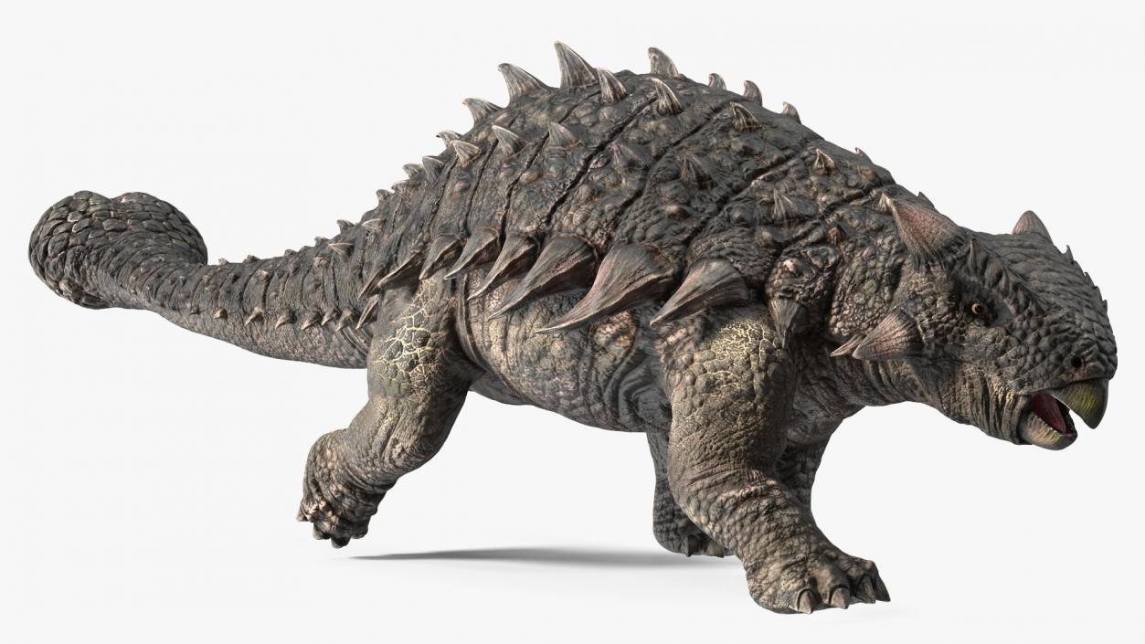 Ankylosaurus Tropical in Walking Pose 3D