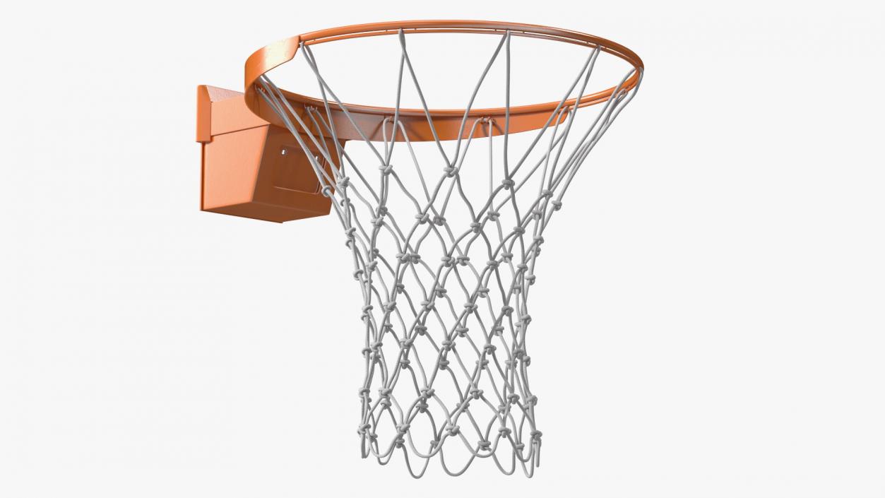 Basketball Hoop with Net 3D model