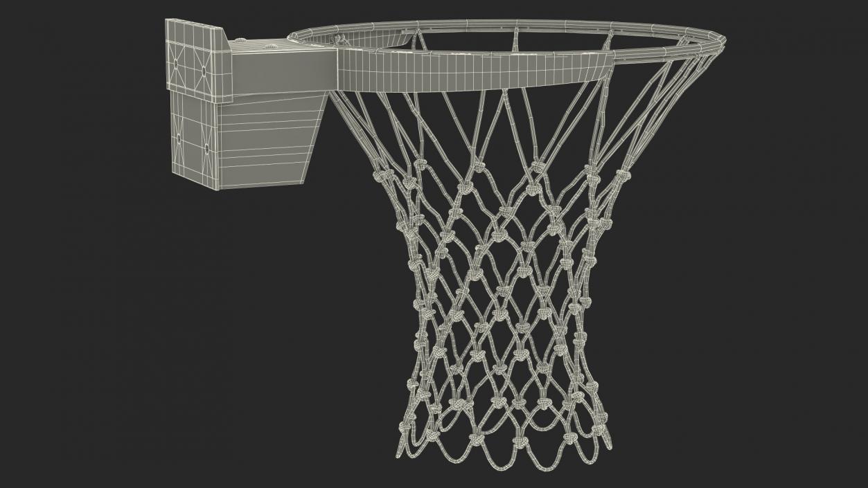 Basketball Hoop with Net 3D model