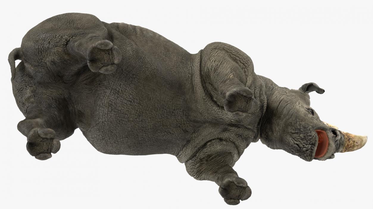 3D model Adult Rhino Drinking Pose