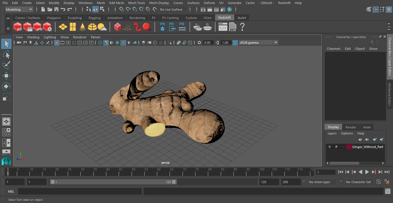 Ginger Without Part 3D model