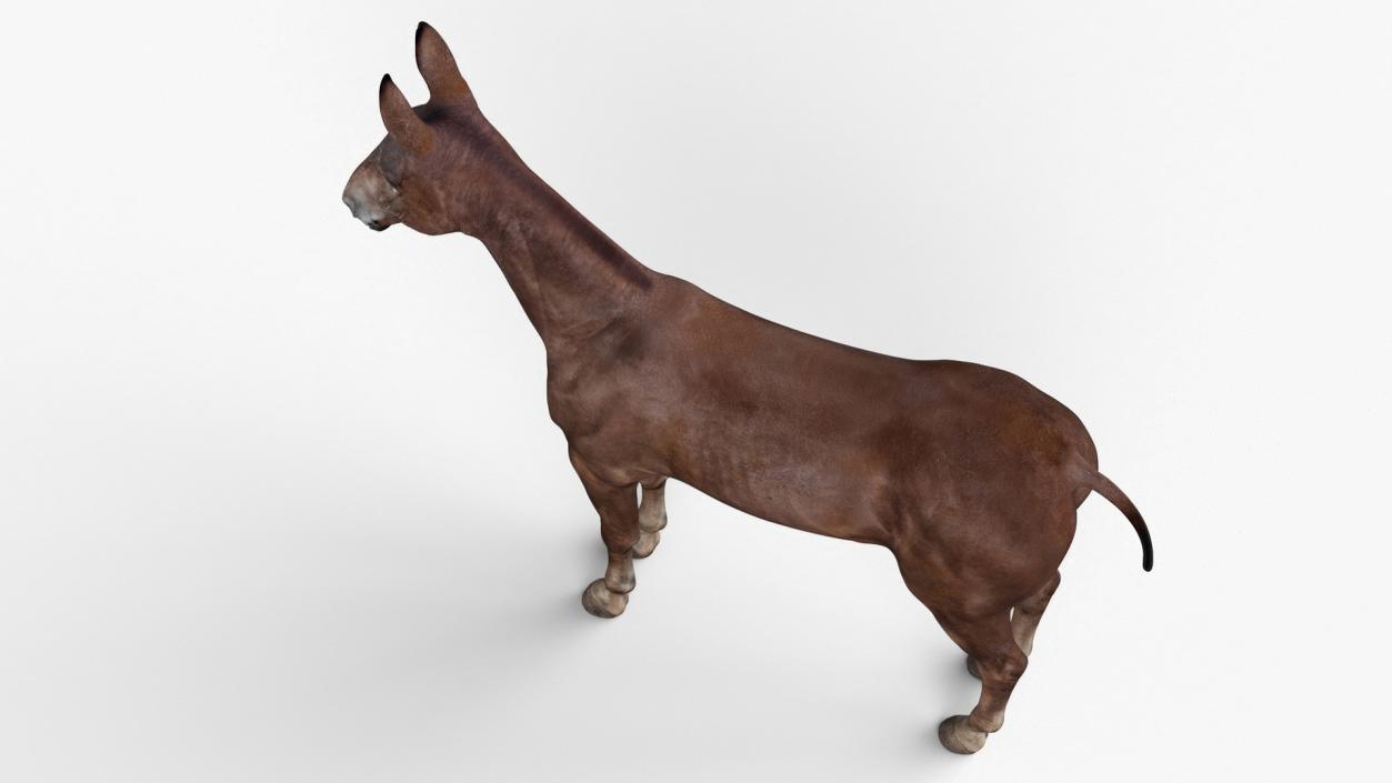 Mule Dark 3D model