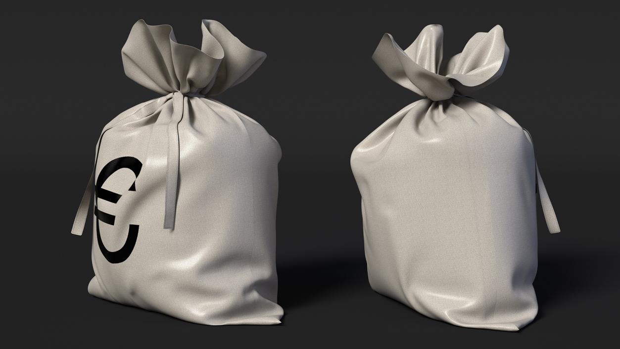 Money Bag with Euro Sign 3D model