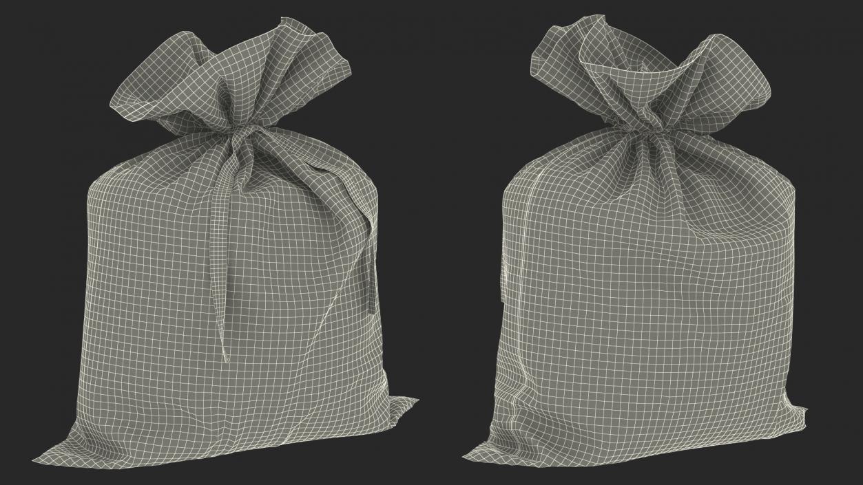 Money Bag with Euro Sign 3D model