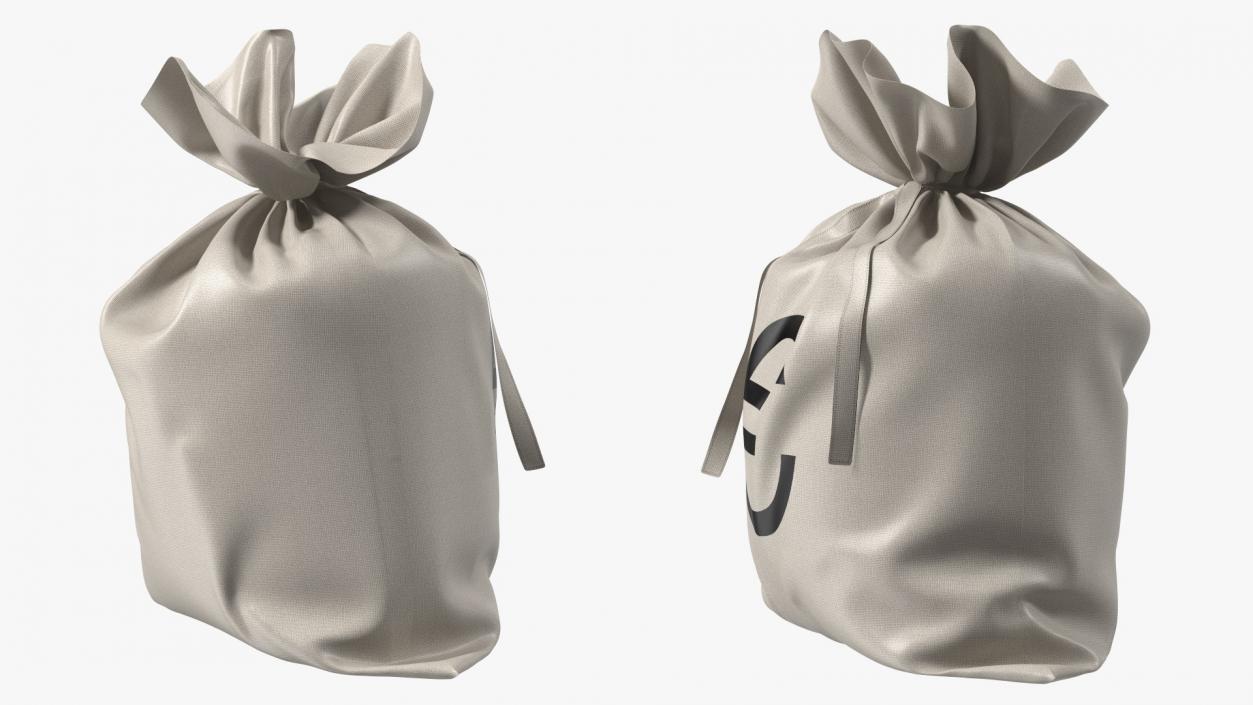 Money Bag with Euro Sign 3D model